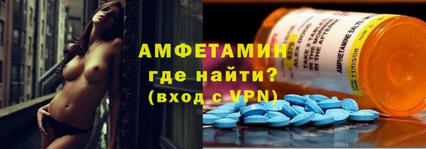 прущие грибы Саяногорск