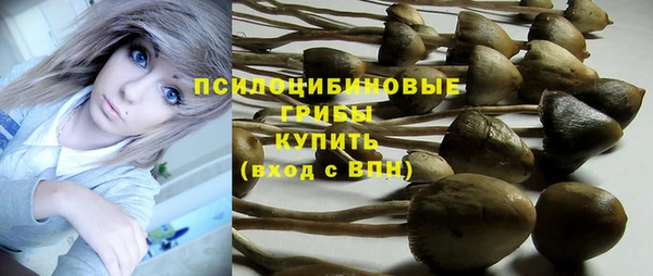 соль ск Переславль-Залесский