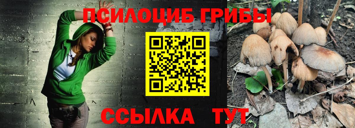 Псилоцибиновые грибы мицелий Анжеро-Судженск