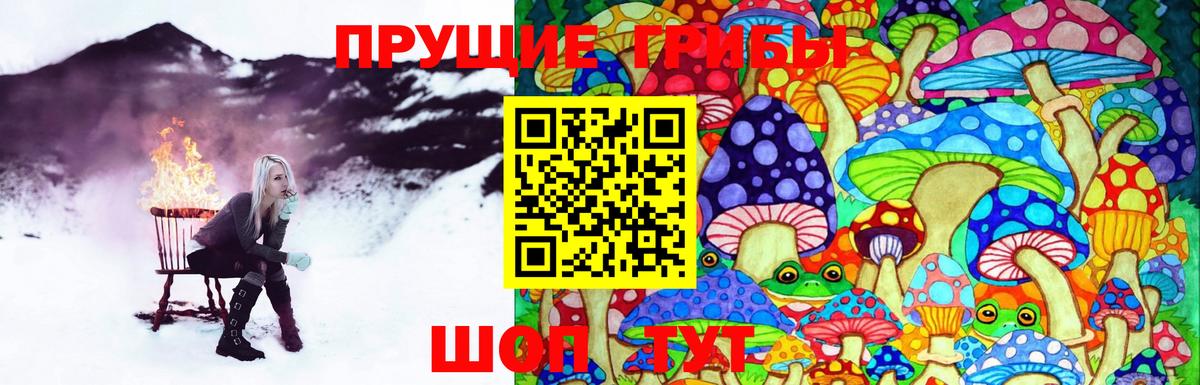 Псилоцибиновые грибы Cubensis  магазин  наркотиков  Псилоцибиновые грибы Psilocybe  Анжеро-Судженск  Вход с VPN 
