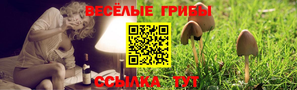 Меф Анжеро-Судженск