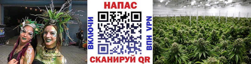 Канабис индика  Анжеро-Судженск 